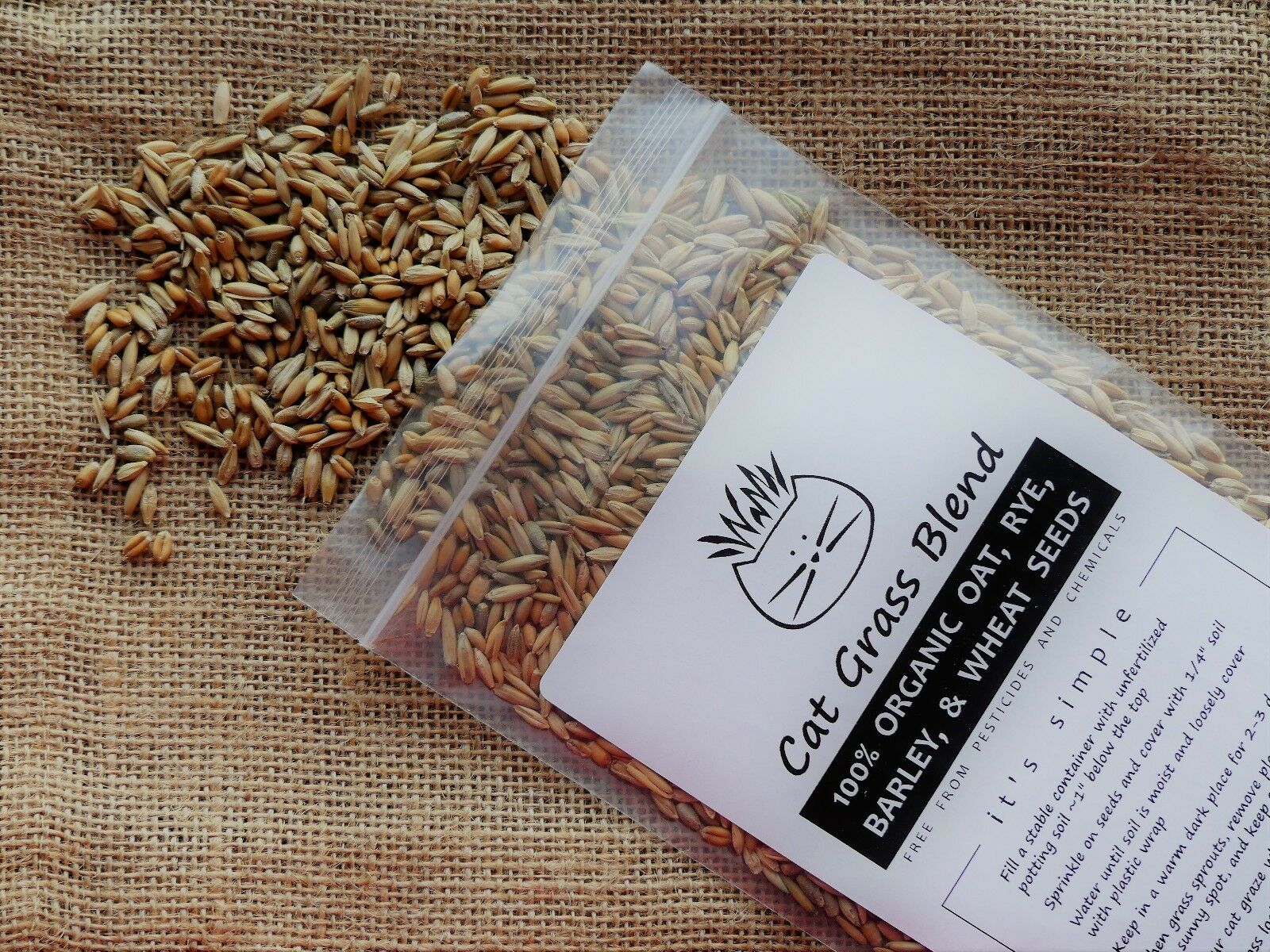 Cat Grass Blend | Totally Organic Combo Mix Of Seeds From A Trusted U.s. Source